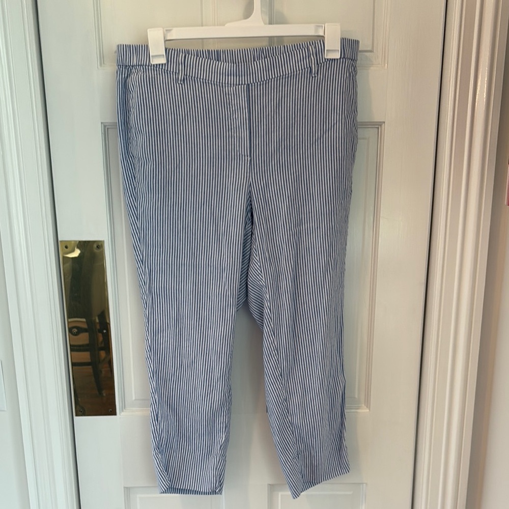 J Jill Blue Striped Women's Pants
